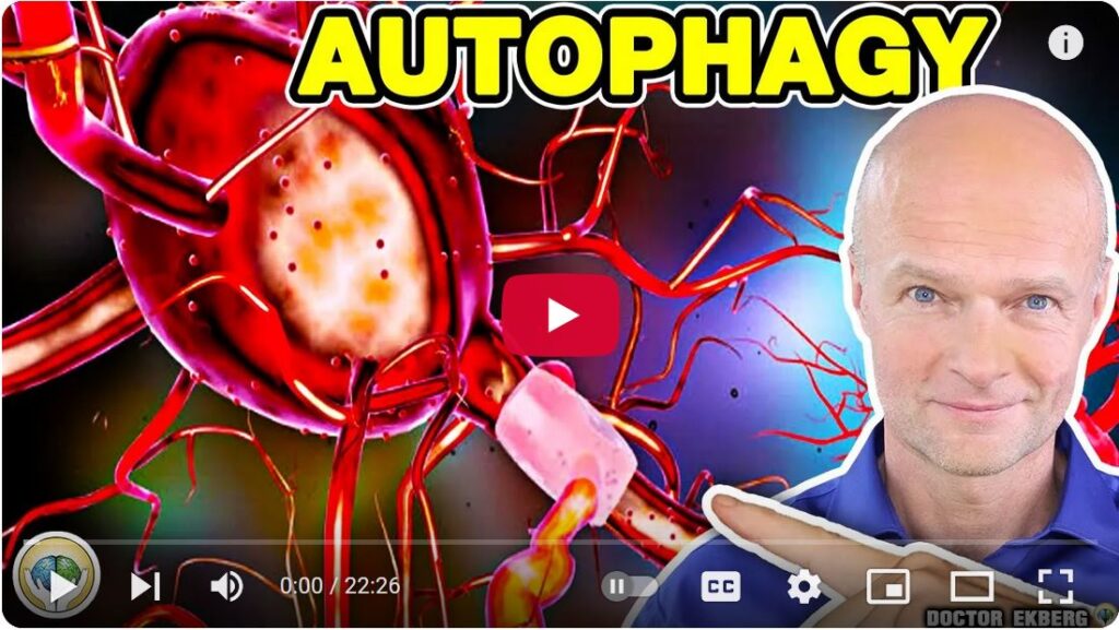 What Is Autophagy